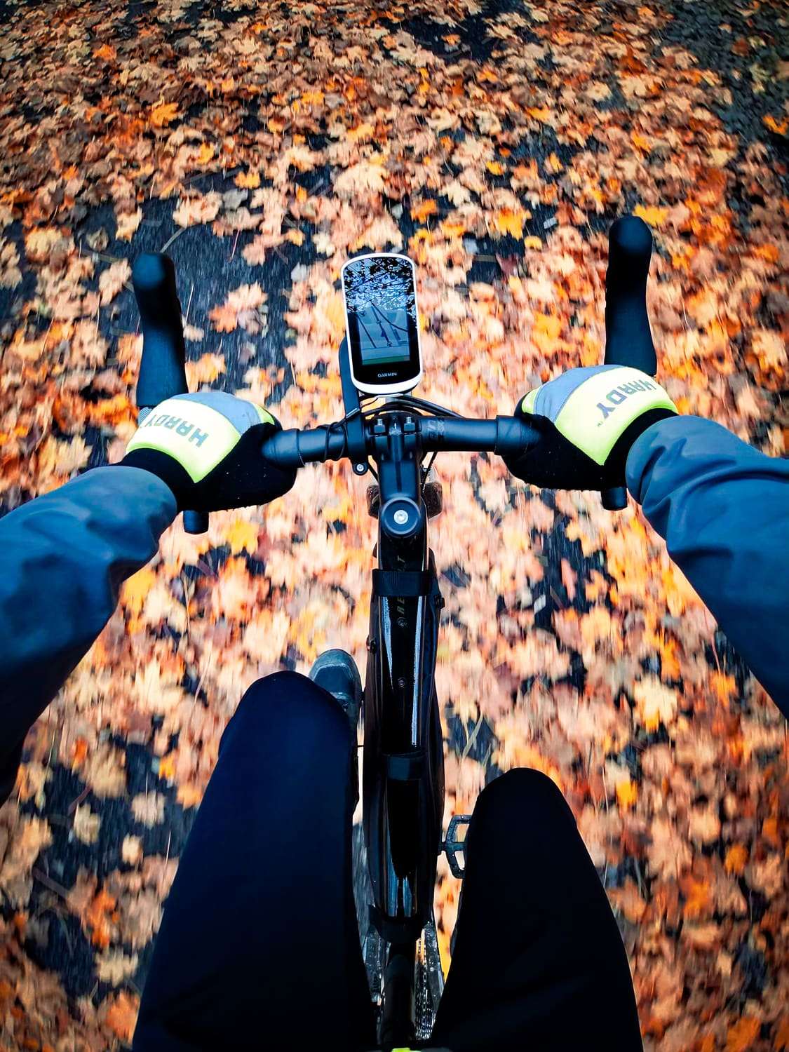 Handlebar view of a bike rolling over a road covered in autumn leaves