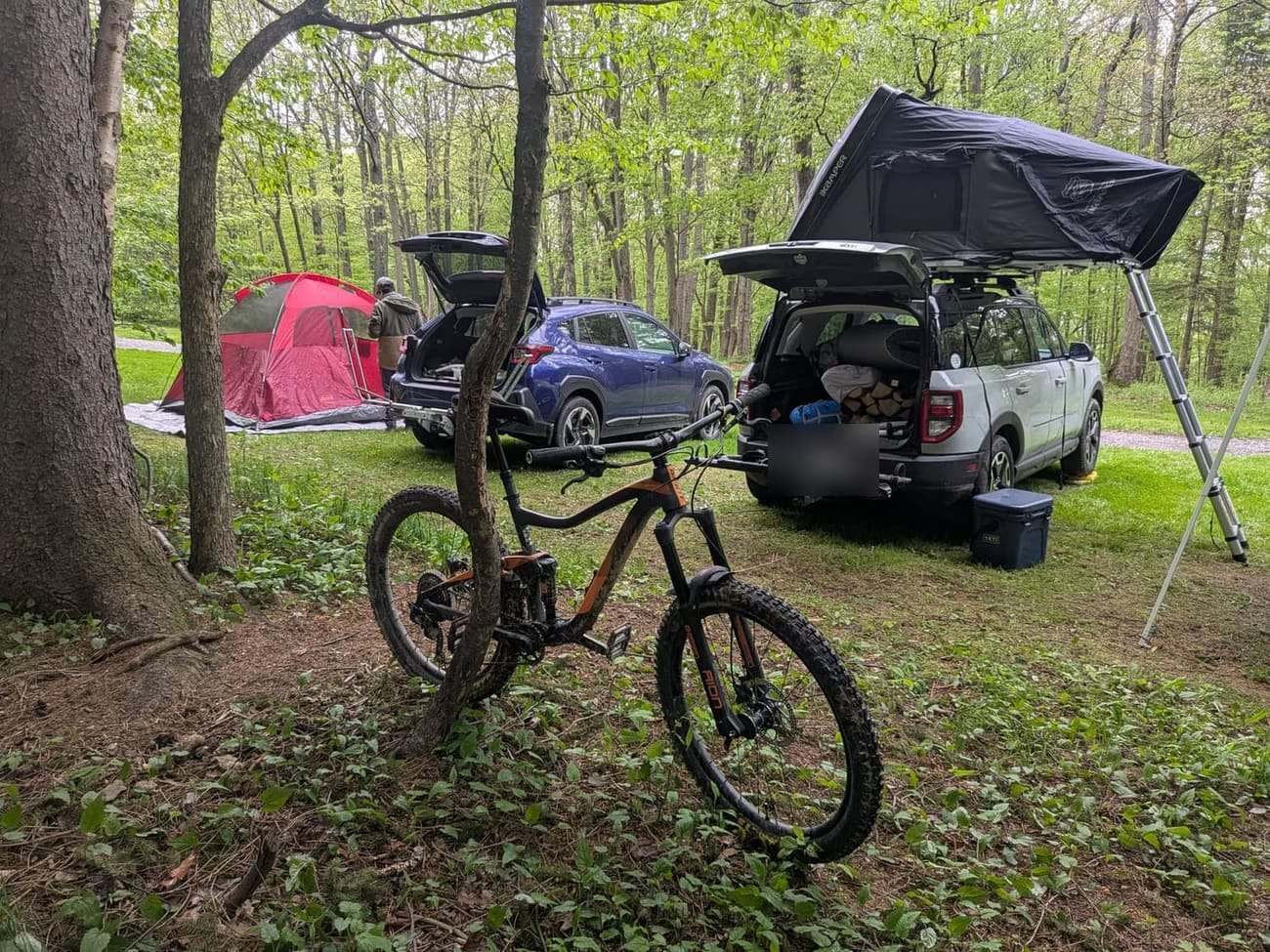 Roof tents open above two trucks at a wooded campsite with a mountain bike in front