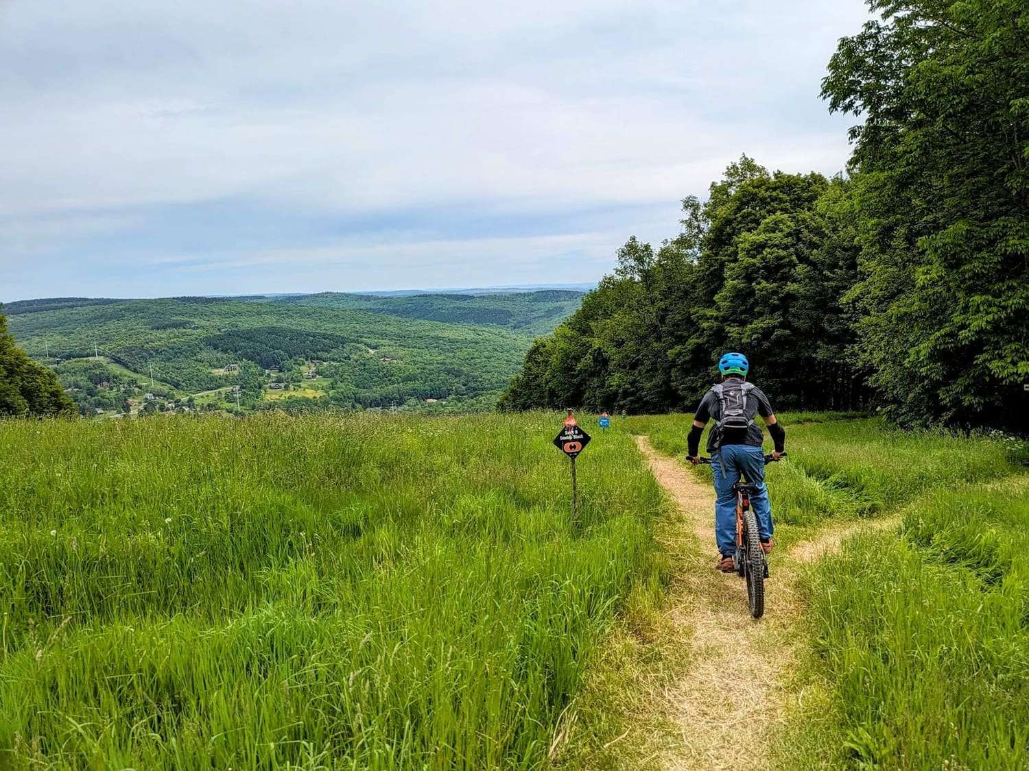 A rider on a singletrack cut through a meadow above a wide valley